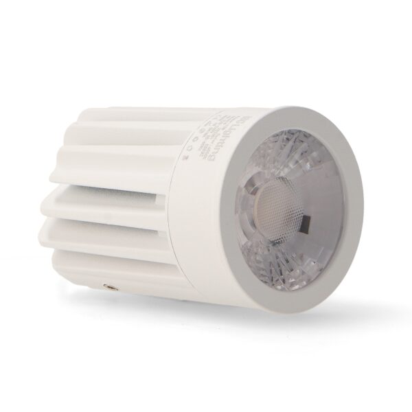 Módulo LED Ronse 12W 4000K