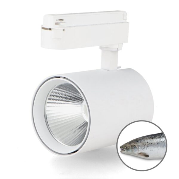 Foco LED para calha White Air 30W Monofásica No Flicker - Peixe