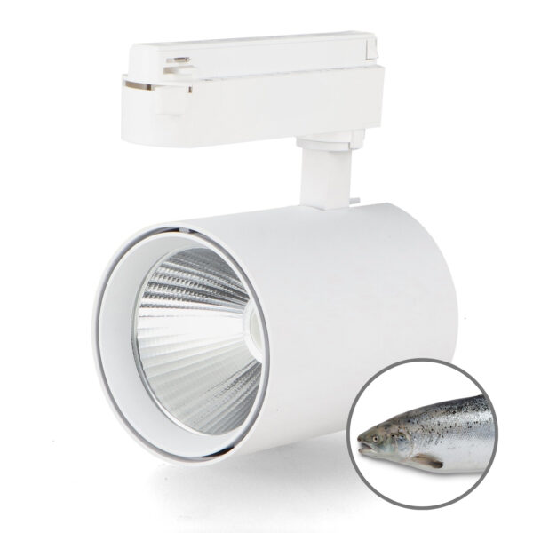 Foco LED para calha White Air 30W Monofásico No Flicker - Peixe